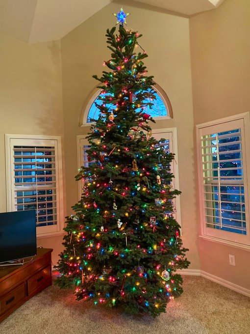 1 pic. Our Christmas tree this year 🎄 https://t.co/AdNt0oMytA