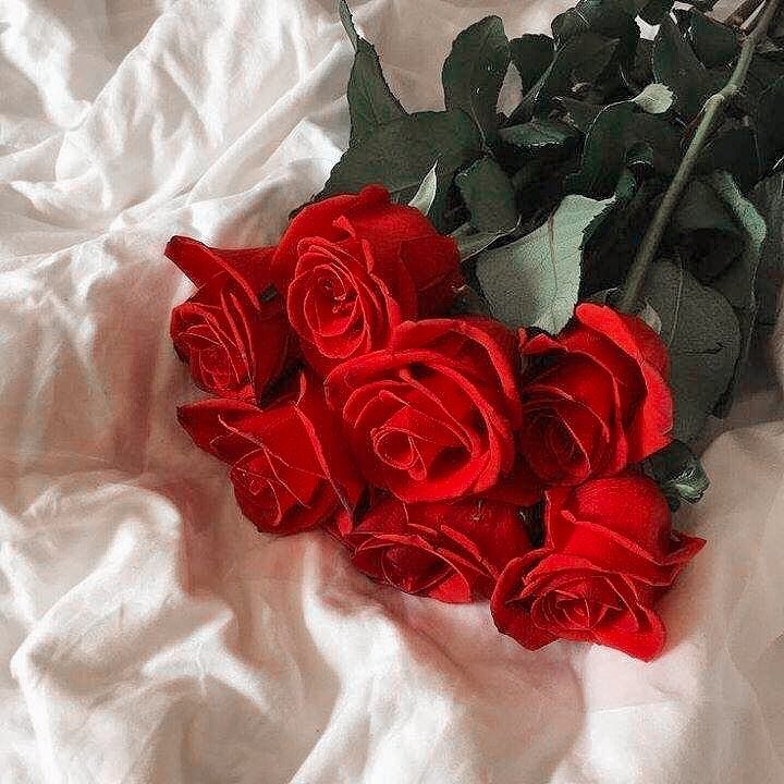 REDCOFFEERS's tweet image. 𖤐    Pedido: Combo colores (vermelho) 

De: miau
Para: @killsses 

𓂃 𖡾: para minha noiva &amp;lt;3