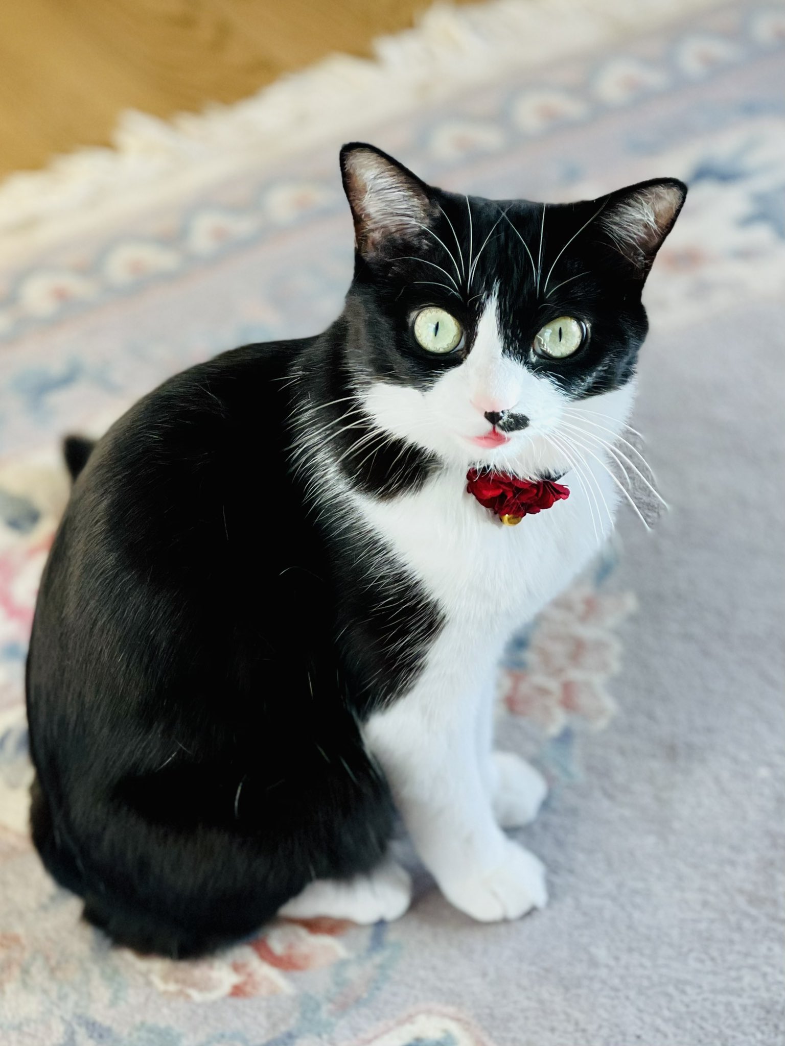 山際正道 (masamichi_ymgw) / Twitter