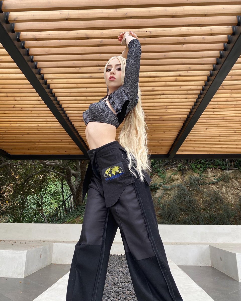 AvaMax tweet picture