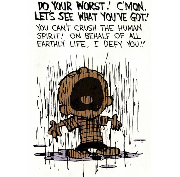 Calvinn_Hobbes's tweet photo. Pretty much sums up 2020… #CalvinandHobbes https://t.co/se5XeAkcRV