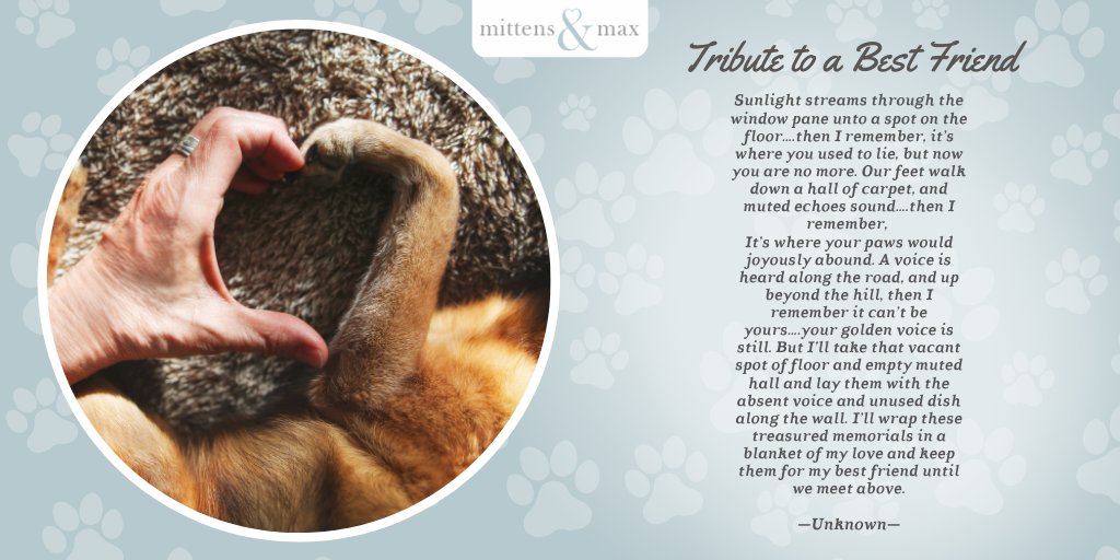 #MittensandMax #petpoem #petloss #belovedpets