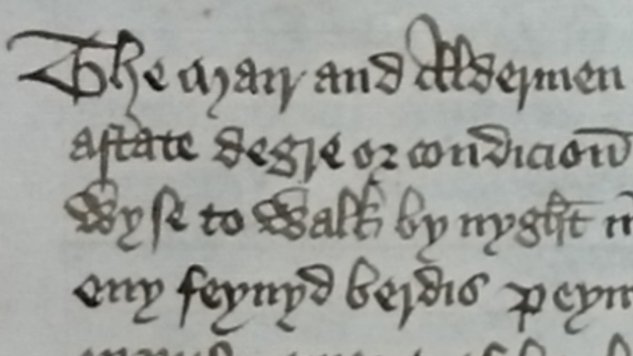 ‘The Mayor and aldermen charge...  that no one of any degree shall be so impudent, during this holy time of Christmas, as to walk by night in any kind of mummings, plays or other disguisings, with any false beards, painted masks or... coloured faces' (London 1419, MELD D4195#8)