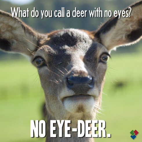 WilliamsonEye1's tweet photo. Now, this is just a CLASSIC eye joke! https://t.co/Ehc064nE1u