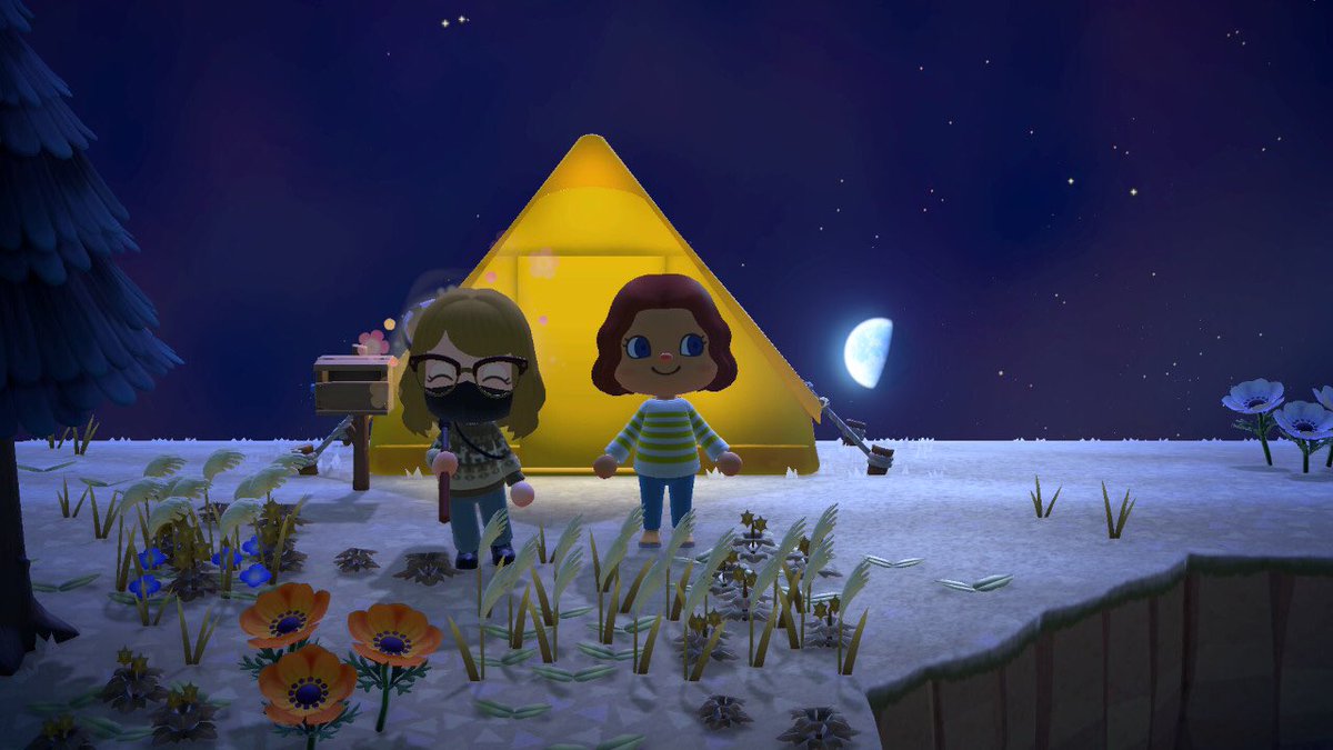 JocastaSwitch's tweet photo. My roommate joined my island through my switch! ✨ Time for nee adventures! ☺️ #acnh #AnimalCrossingNewHorizons https://t.co/Nw62dYJFTG