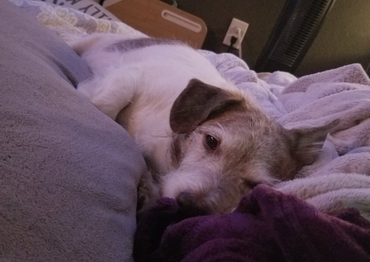 I wish he would just feel better already 😕😕😕