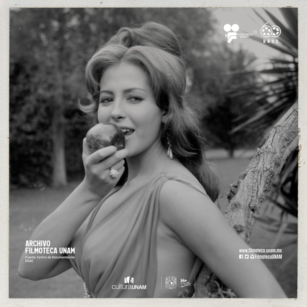 ArchivoFilmotecaUNAM El 7 de diciembre de 1983 murió la actriz mexicana Fanny  Cano. Recordada por su interpretación en la telenovela 'Rubí' (1968),  participó en más de 30 películas, entre ellas 'Entrega inmediata' (