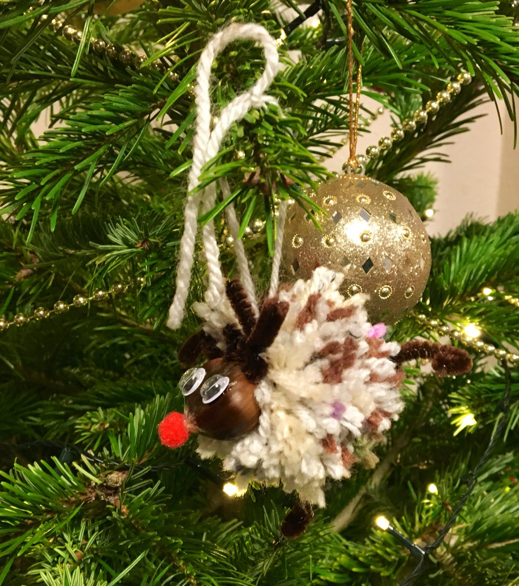 DCPSBoarding's tweet image. Totally love these super cute reindeer tree decorations one of our @DeanCloseSchool Y7 boarders has made to raise money for his favourite charity. #polarbears #seasonofgiving