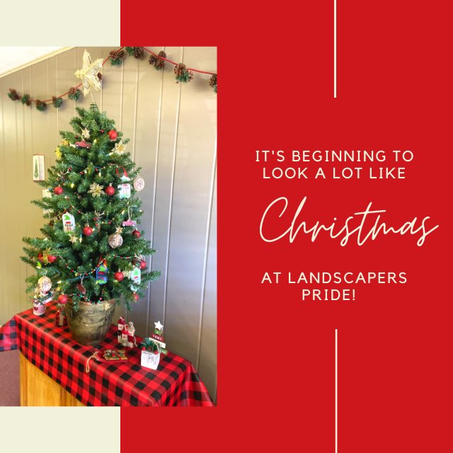 It’s beginning to look a lot like Christmas! We hope you are all enjoying this holiday season💚🎄❤️
#LandscapersPride #letsgrowtogether