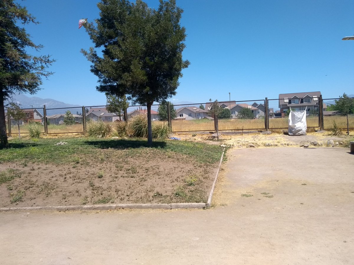 jorgecastro81's tweet photo. @mpuentealto @germancodina En parque de calle Jorge Ross Ossa (entre Juan de Dios Malebran y Ejército Libertador) se están armando camas detrás de arbustos, dónde se han visto parejas saliendo y se junta gente en las noches y hacen sus necesidades ahí.
A cuadras de la Muni... https://t.co/NFKU2too1v