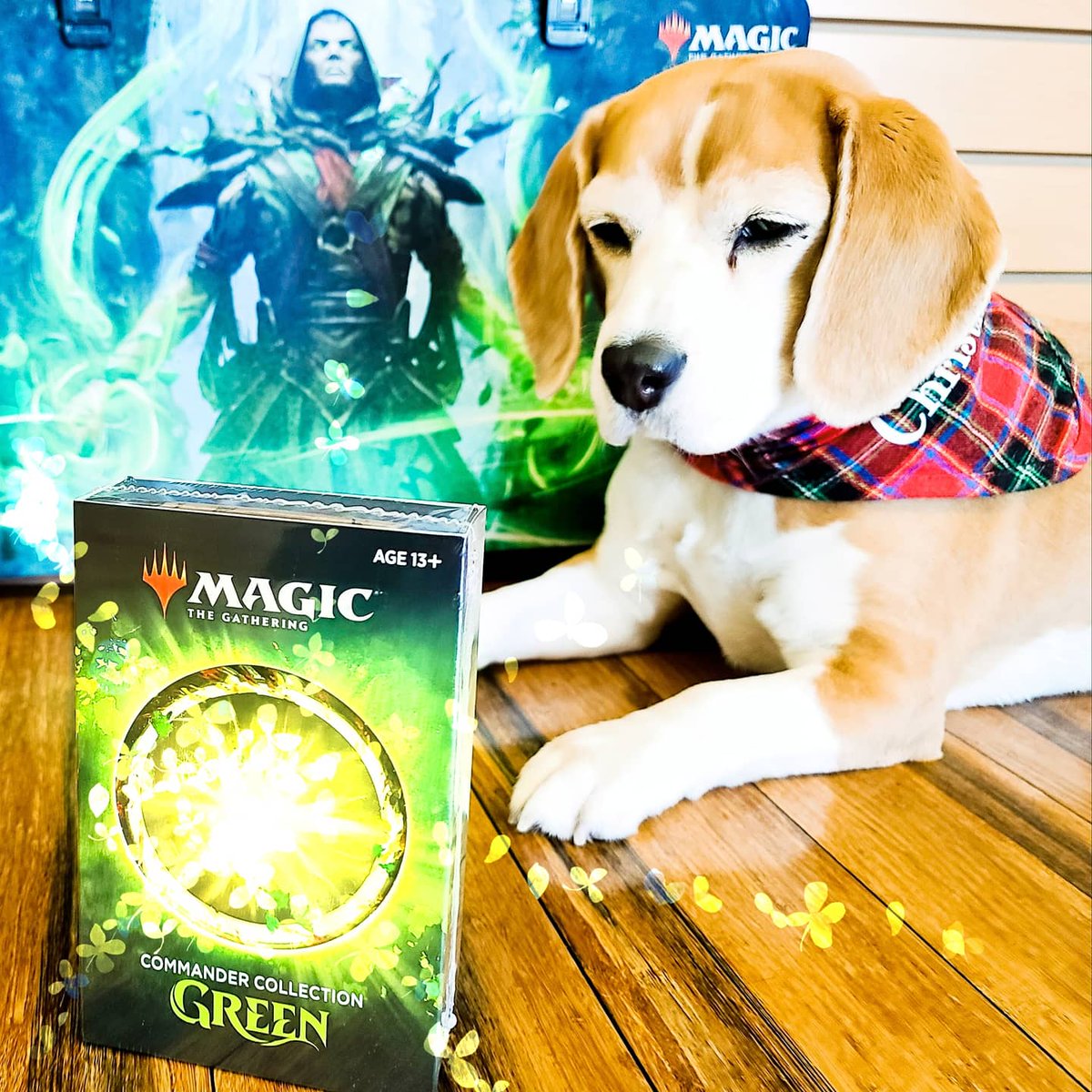 ABgames's tweet photo. 🌳Commander GREEN🌳 available now in store or online at https://t.co/0rpXPrn5me
Our Black Friday deals are still running through 12/12/20, all deals in comments.
NBD
#commandercollectiongreen #mtg #mtgcommander #edh #beagle #beagles #shopdog #eugeneoregon https://t.co/P53pCYejXQ