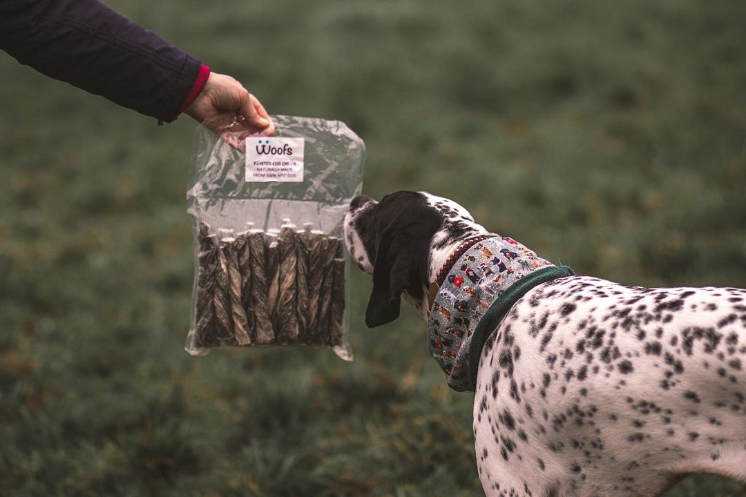 WOOFS (@woofsfishtreats) on Twitter photo Our 3 for 2 Christmas offer ends at midnight tonight!
Buy two of any single pouch, bag or tube and we'll include a third with your delivery. No code required.
woofs.co.uk
🐶❤️🐟
<a href="/MSCecolabel/">Marine Stewardship Council</a> @dogownersuk Our 3 for 2 Christmas offer ends at midnight tonight!
Buy two of any single pouch, bag or tube and we'll include a third with your delivery. No code required.
woofs.co.uk
🐶❤️🐟
<a href="/MSCecolabel/">Marine Stewardship Council</a> @dogownersuk