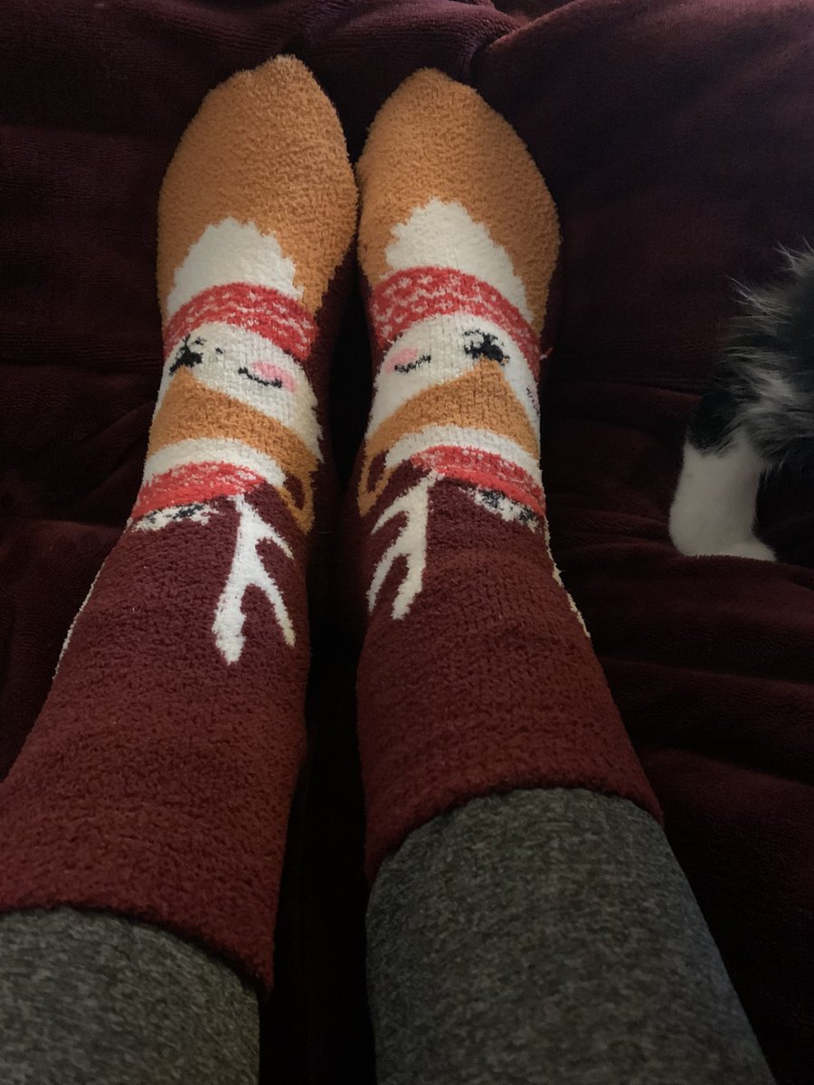FoxBehindDaTree's tweet photo. Day 7 of @iggleswaps #25daysofcheer Fox socks take 2 cozy edition! And the red *chef kiss* perfect! https://t.co/f8Lmc578Cc