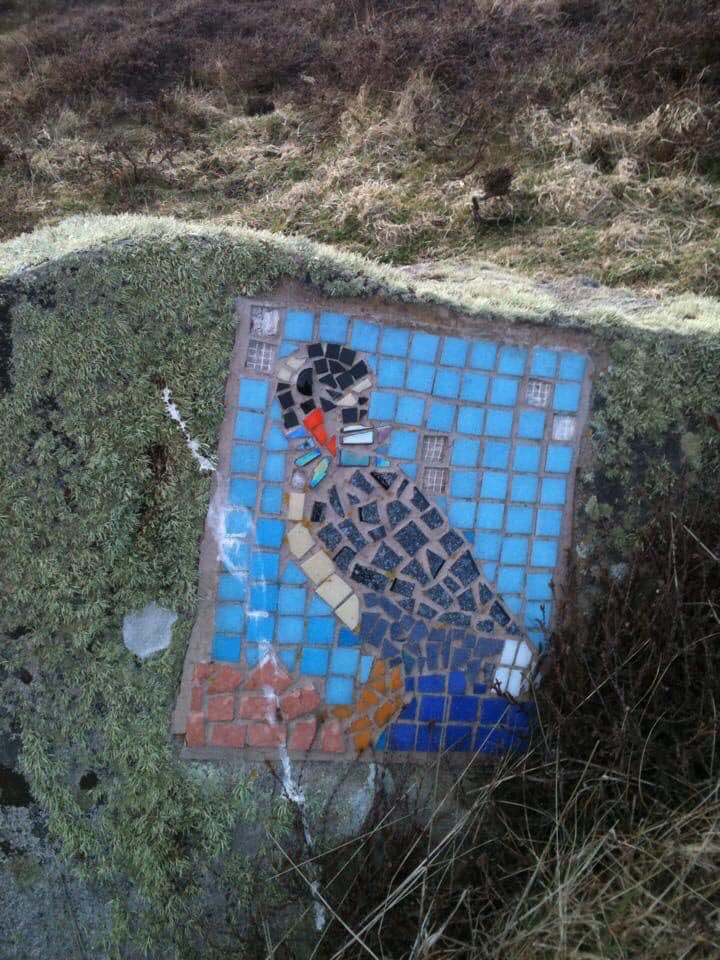Our new owners are slowly exploring #Anglesey - can anyone guess where this was taken??

#northwales #coastalpath #getoutside #getwalking #lovewhereyoulive #cymru #beautifuloutdoors
