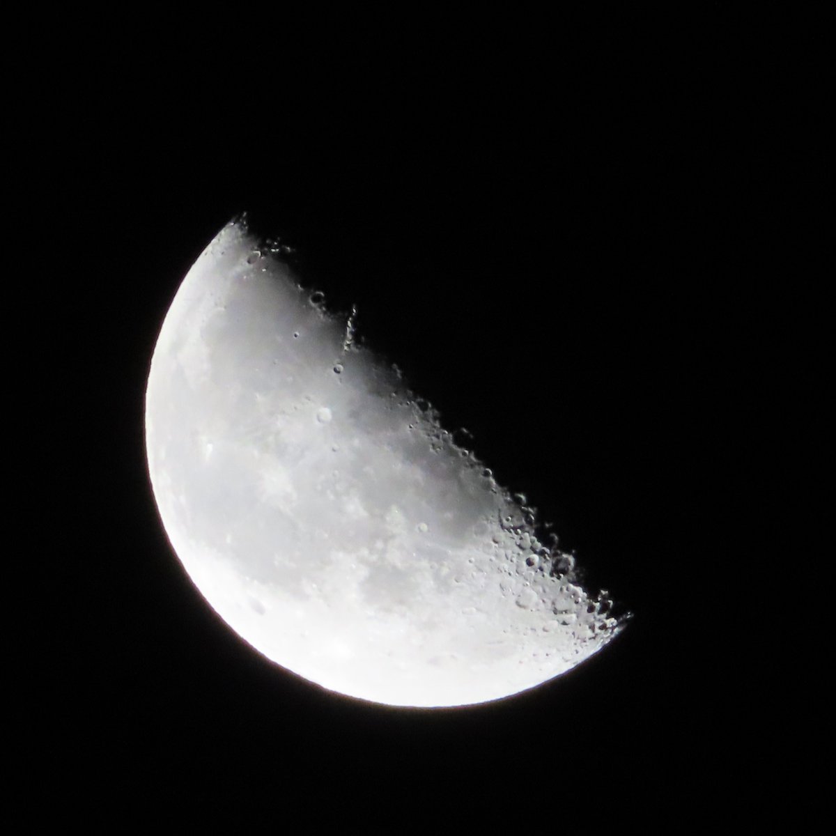 ttomu2's tweet photo. 5:00頃、天頂付近に下弦。 #月 #下弦 #半月 #moon #halfmoon #halfmoonday https://t.co/ZfaNpZATOh