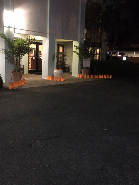 For 100 years, ZONTA International has contributed to help achieve a world free of violence against women and girls through service and advocacy.

Our displays are orange to support ZONTA Club of Melbourne’s efforts during ZONTA’s 16 Days of Activism to End Violence Against Women