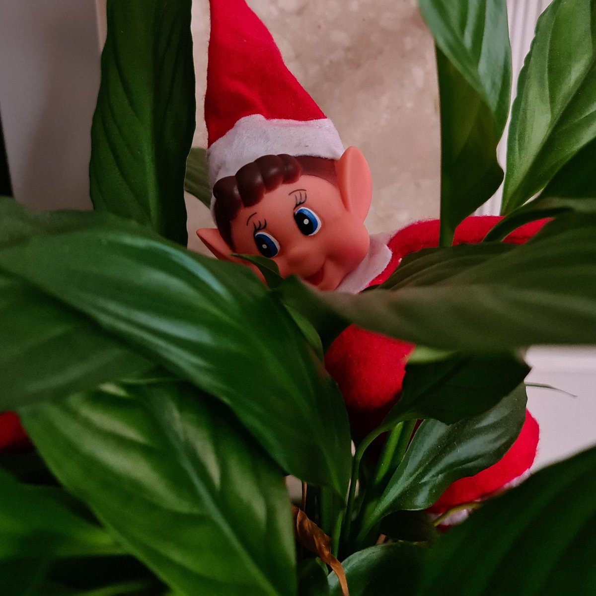 CherryBScouts's tweet photo. Whether you enjoy foraging in the woodlands, collecting fossils at the beach or climbing in the mountains, there's always exciting places to explore in Scouting! #Scouts #CountdownToChristmas https://t.co/eEkV6QCUvJ