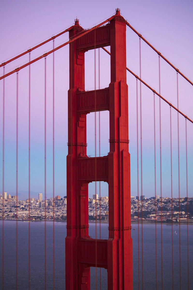 the location                 the shot