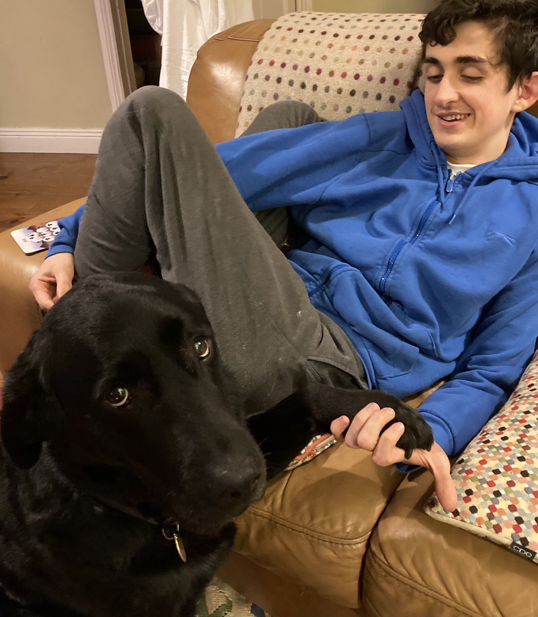 CassieIGD's tweet photo. Best buddies hanging out by the fire holding hands 💕 Cassie was at the groomers last week and we’re all loving how shiny she is and she’s making the most of all the extra rubs she’s getting 😍 @irishguidedogs https://t.co/7fMEeVd0Ik