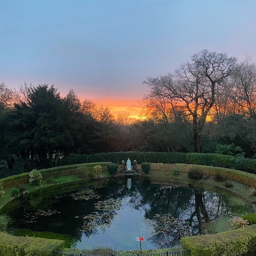 MountHouseSch's tweet image. Stunning view over Mount House pond from the 6th Form classrooms #redsky #northlondon