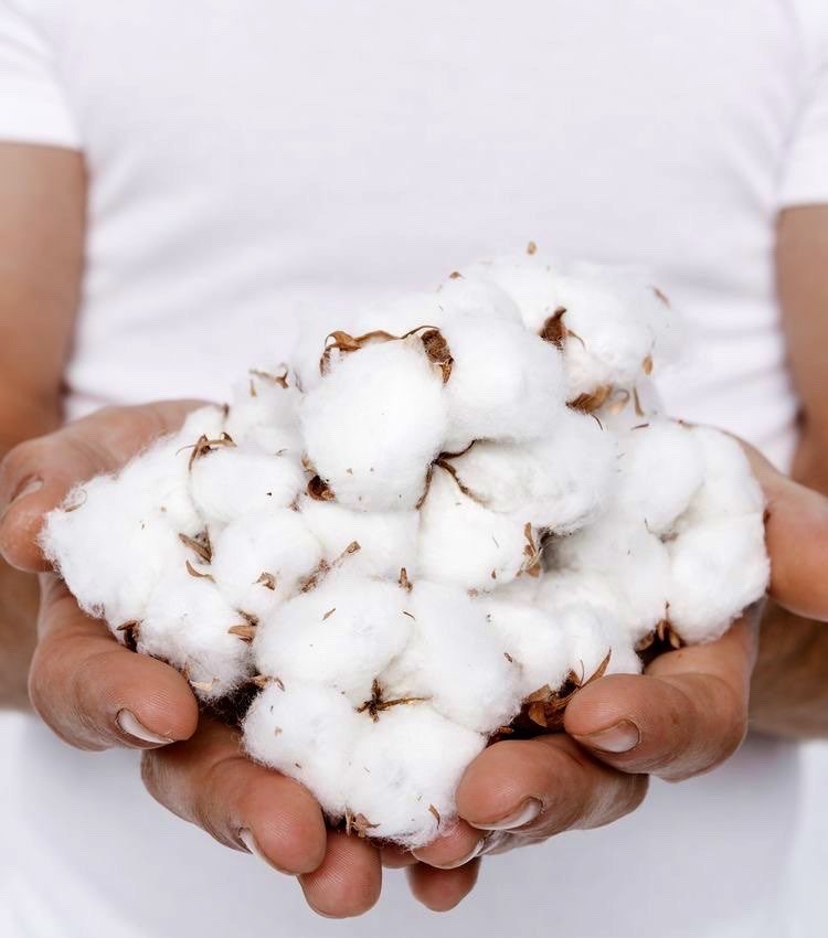 fashiongreenmx's tweet image. De momento, las grandes empresas del sector textil cuidan el pilar económico y hacen cosas puntuales en el pilar medioambiental muchas veces presionadas por la coyuntura actual.

#ModaResponsable