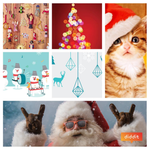 Ingridstes's tweet photo. Je achtergrond op #diddit kunnen aanpassen aan de tijd van het jaar, dat heeft wel iets. De herstbladeren zijn verwijderd en nu ben ik volop into kerstsfeer.
@UitgeverijVanIn
#vaninformeert https://t.co/aPsUDTGkdZ