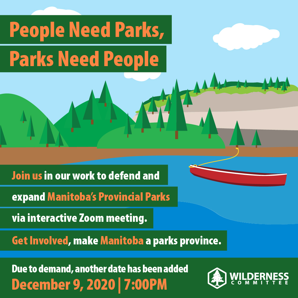 WilderNewsMB's tweet photo. This Pine Marten lives in Duck Mountain, the last MB park being logged...
...and one of the parks Manitobans signed up to help protect at last week's People's Parks Organizer meeting! 💪
Want to help? Register here for the Dec. 9! #MBpoli #DefendMBParks
https://t.co/vC5Kj0iViR https://t.co/nIldpW6n3T