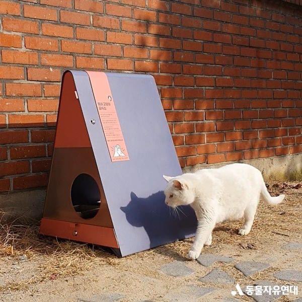 포스코건설 '철'로 튼튼한 동네 고양이 급식소 만든다. 기업이 자신의 전문능력을 살려 동물과의 공존을 위한 노력에 나선 좋은 사례. "내년부터 더 많은 지자체를 통해 급식소를 보급하고 야생동물을 위한 사업도 추진할 계획"이라고.