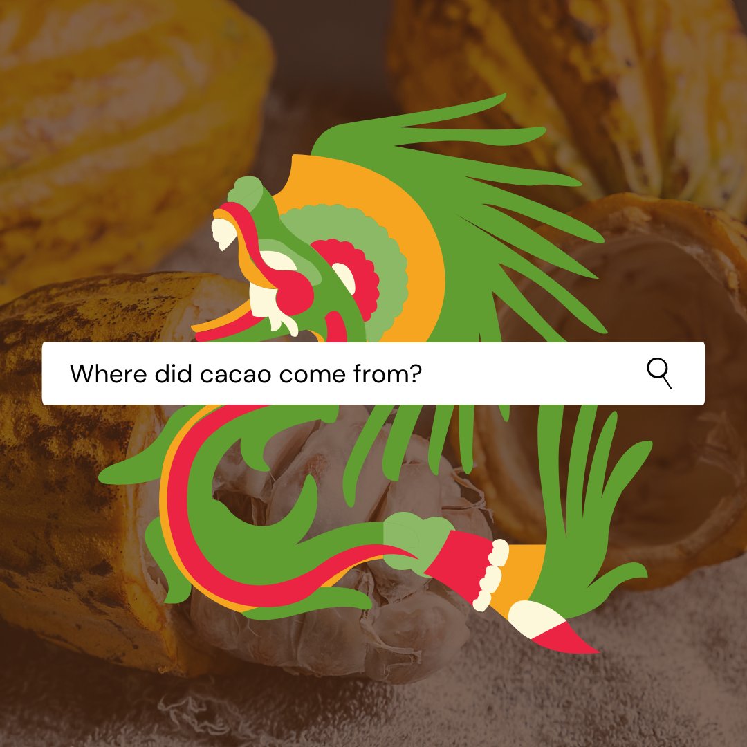 teoblends's tweet image. #Cacao has been consumed for a long time. 5000 years ago people enjoyed its many #healthbenefits! So, it just might be wise to follow in their footsteps.
Cacao has been #important to societies in every sense: religiously, healthwise, and of course for its #delicious #taste!