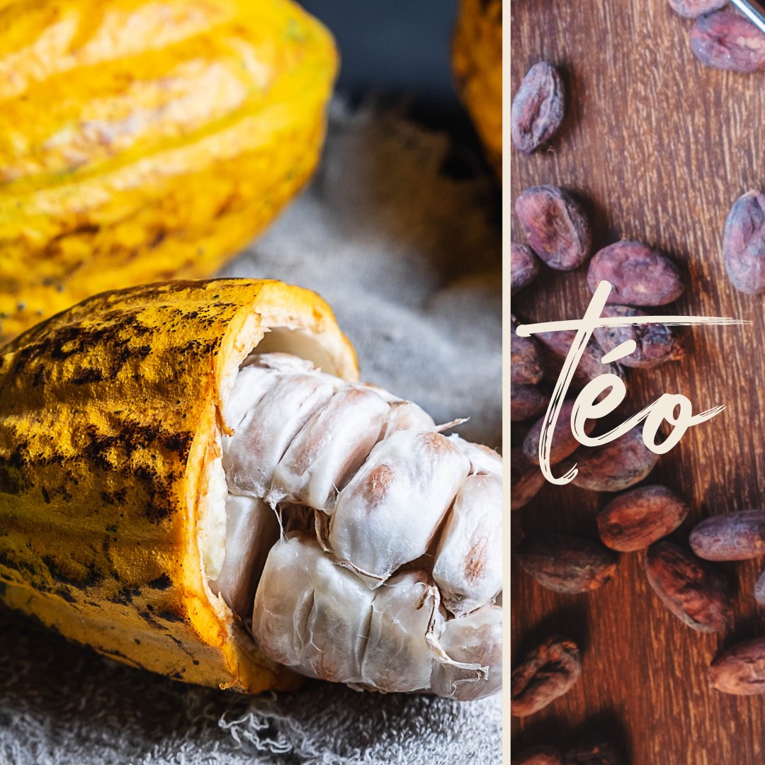 Cacao brew comes from grinding down fermented and roasted cacao beans which come from beautiful cacao pods that are grown by a partner family farm in Naranjal, Ecuador!

#cacao #cacaobrew #brewedcacao #healthychocolate #cacaopod #Ecuador #beantobrew #healthylifestyle