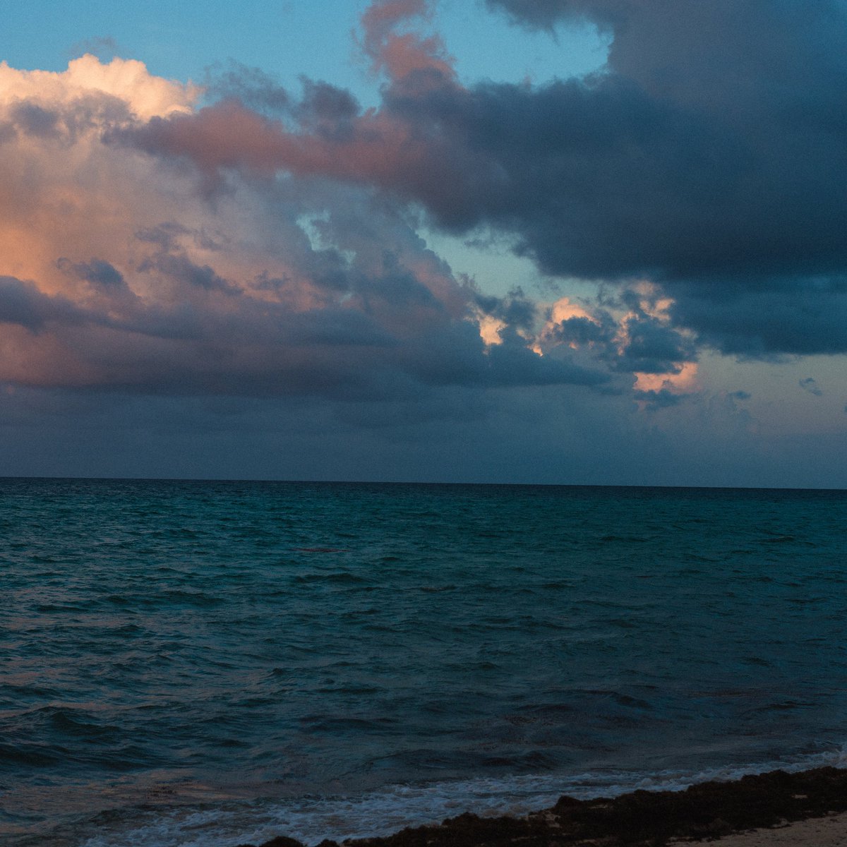 Caerula Mar Club tweet media