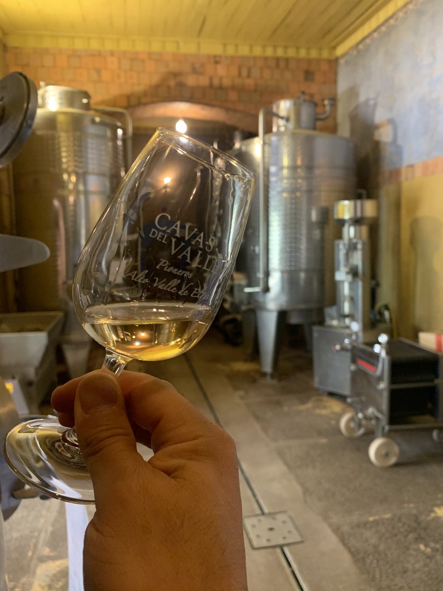 El Jotapé 🎷 tweet media