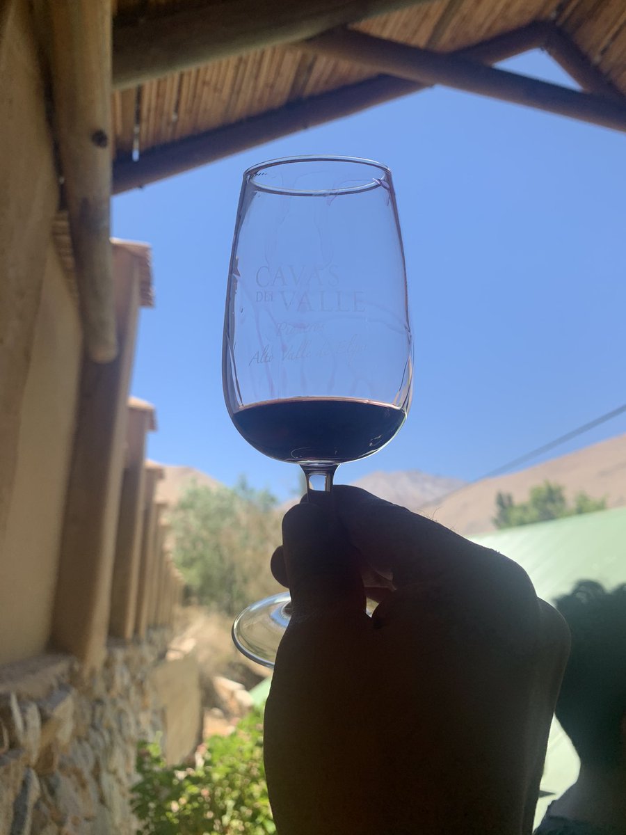 El Jotapé 🎷 tweet media