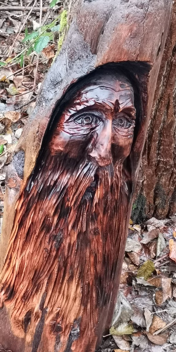 Eh? I swear I'm retracing my steps but I didn't see this one here before. Are they following me??