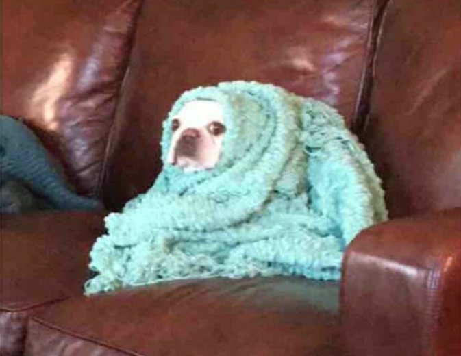 Me: "Sorry I won't be able to make it tonight, im really busy"

Me: