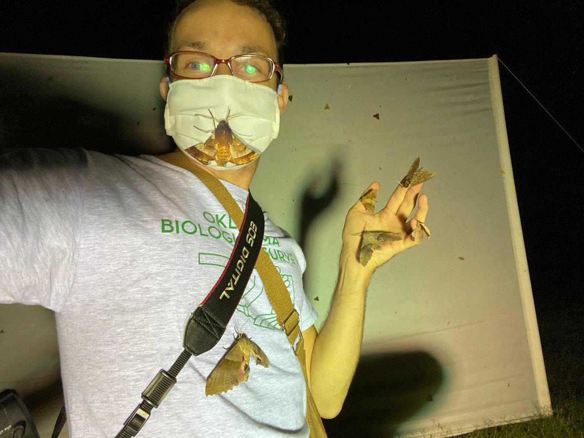 BioBlitz! Oklahoma tweet media