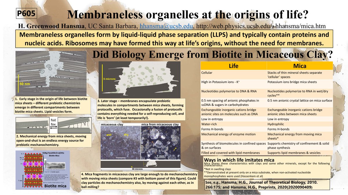 HHansma1's tweet photo. #cellbio2020 Invite to P605 Origins of Life &amp; Membraneless Organelles - Tues Dec15 https://t.co/m8l7gXrFW0