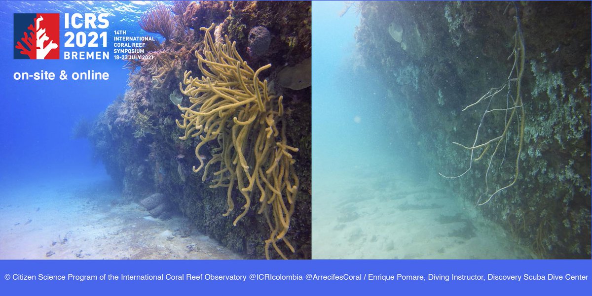 ICRS_2022's tweet photo. @ICRIcolombia reports heavy damage from Hurricane Eta. As climate change has increased the number of hurricanes, this was already the 28th hurricane of the season. A threat to people and ecosystems. The impact of climate change on coral reefs will be a key topic at #ICRS2021 https://t.co/PuqXumcAGd