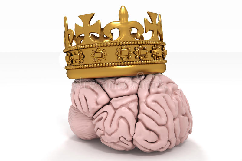 Мозг без головы крокус. Мозг в короне. Корона на голове. Мозги с короной. Корона передавила мозг.