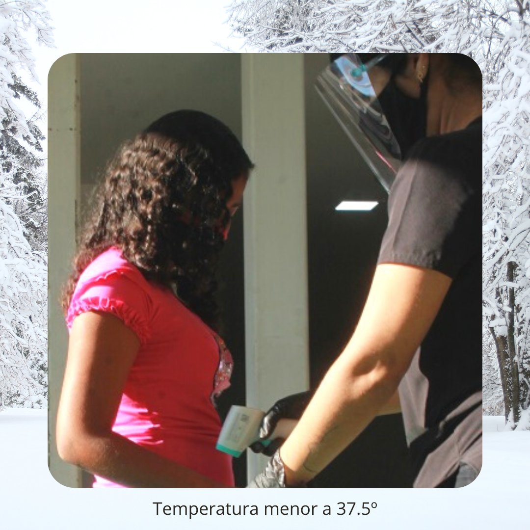 Ilbnt_'s tweet photo. Cumpliendo con las medidas de bioseguridad dimos inicio a nuestros servicios presenciales, el pasado Domingo 06 de Diciembre. 
¡Felices de tenerlos nuevamente en casa! https://t.co/DzFCthFtgg
