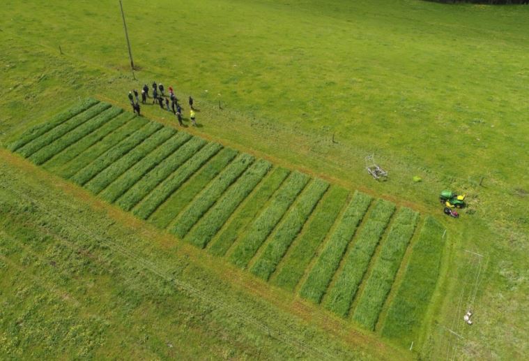ag_southwestnrm's tweet image. The fertiliser industry, WA govt and researchers met recently to hear the latest research aimed at improving nutrient use efficiency on grazing farms in South West WA rgw.dwer.wa.gov.au/fertilising-fo… #uPtakeTrials #Fertilising4theFuture #WAestuaries