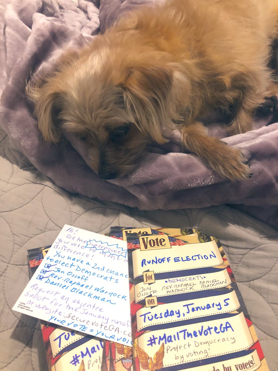 Luna and I are writing about 10 #PostcardstoVoters a day. No rest for the weary when there is a #RunoffElection coming up in January! The amazing Dems @ossoff @ReverendWarnock and @BlackmanDNA are on the ballot- do your thing, #Georgia! #MailtheVoteGA 🍑 💙🙏🏼📬