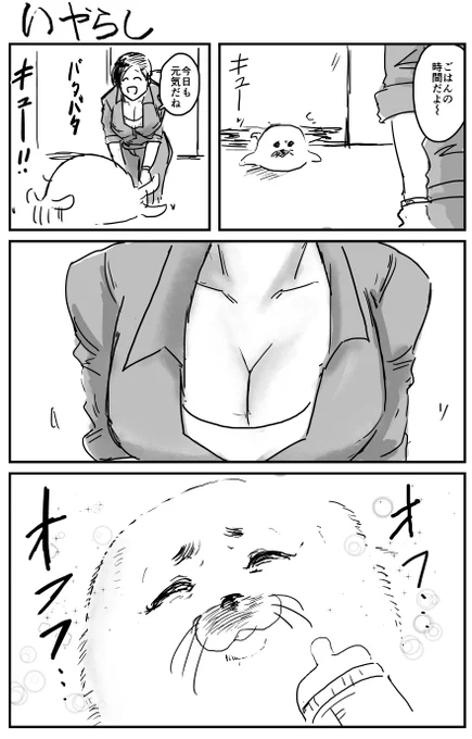 いやらしいアザラシの赤ちゃん 