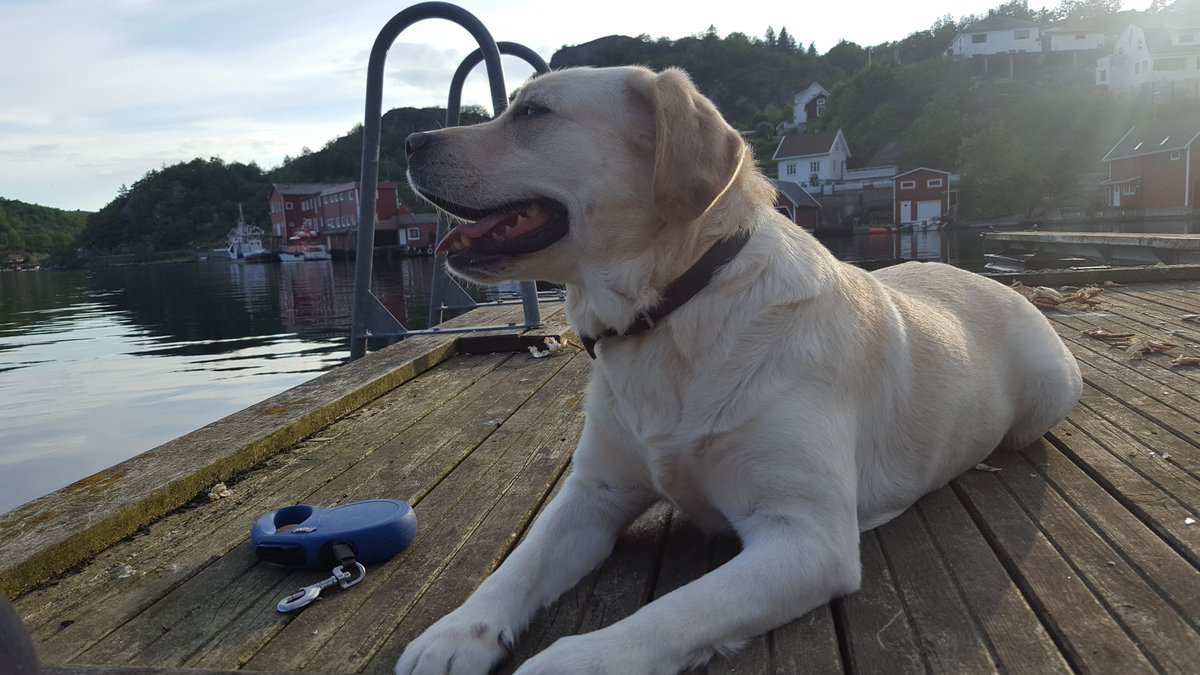 johnny reiestad (@johnnyreiestad) on Twitter photo 