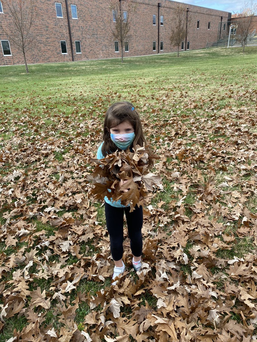 Miss Sharp’s First Grade Class tweet media