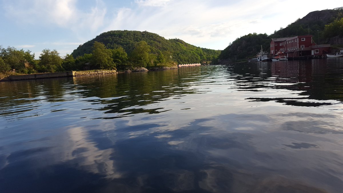 johnny reiestad (@johnnyreiestad) on Twitter photo 