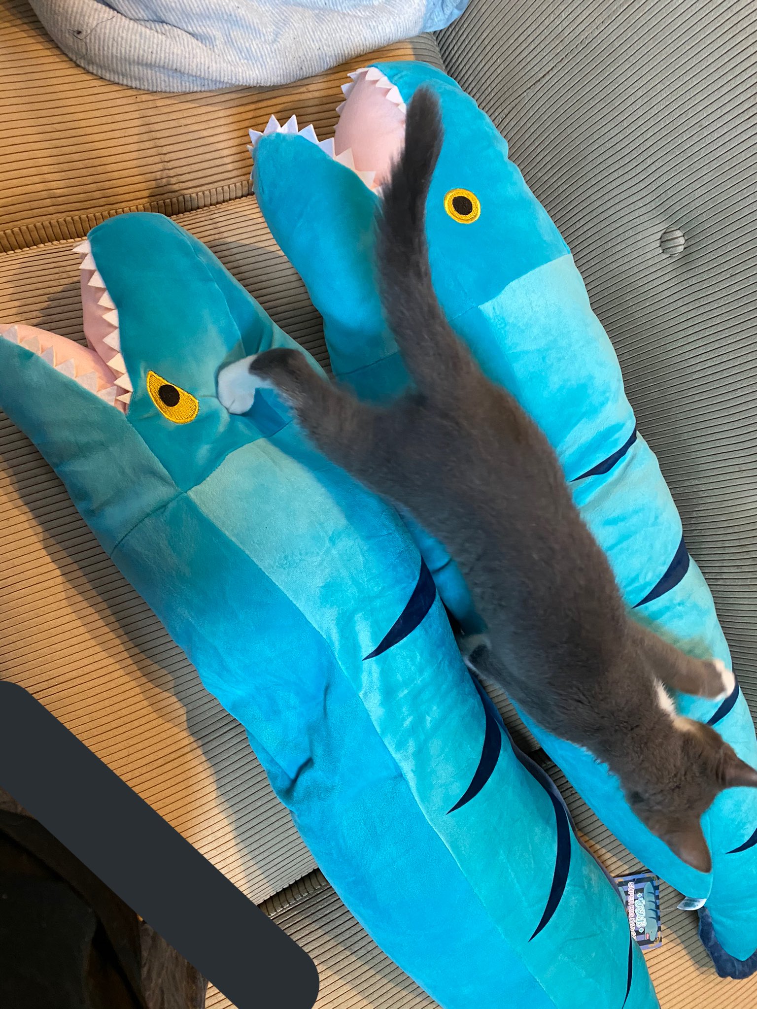 えんどろーる ウツボのぬいぐるみ 概念 えんどろーる ウツボのぬいぐるみ 概念