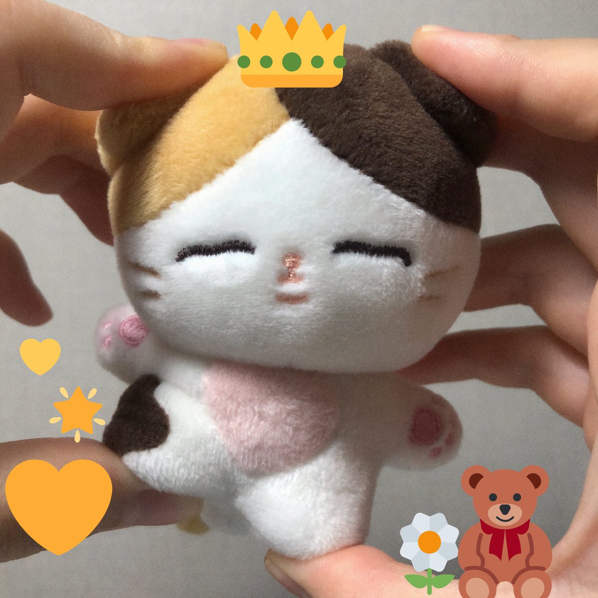 10cm 삼색찜냥이 tweet media