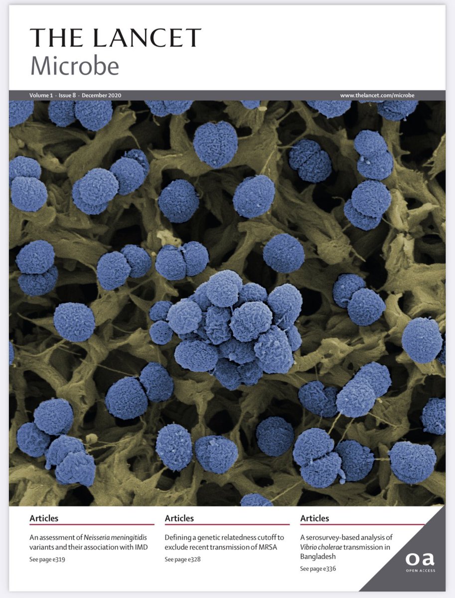 Thanks Hannes Eichner and <a href="/f_righetti/">Francesco Righetti</a> for the beautiful coloured SEM picture of Neisseria meningitidis.