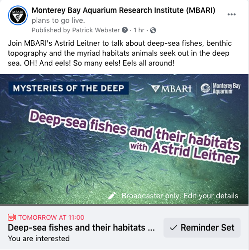 MBARI_News's tweet photo. Join MBARI's @AstridBLeitner to talk about deep-sea fishes, benthic topography and the myriad habitats animals seek out in the deep sea. OH! And eels! So many eels! Eels all around! 

We'll be streaming on MBARI and @MontereyAq platforms 12/8 at 11 am:  https://t.co/ogM3Trdiiu https://t.co/u5kzBeCF0I